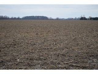 Property photo 26 - 175 Acres Offered in 5 Tracts - Tontogany, Ohio Farm Land Auction